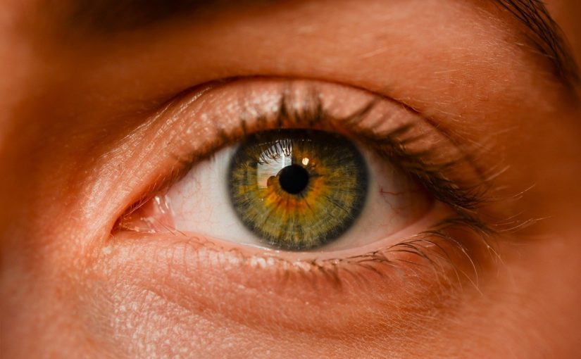 Oczy to wyjątkowy organ. To otóż to dzięki nim rozróżniamy.